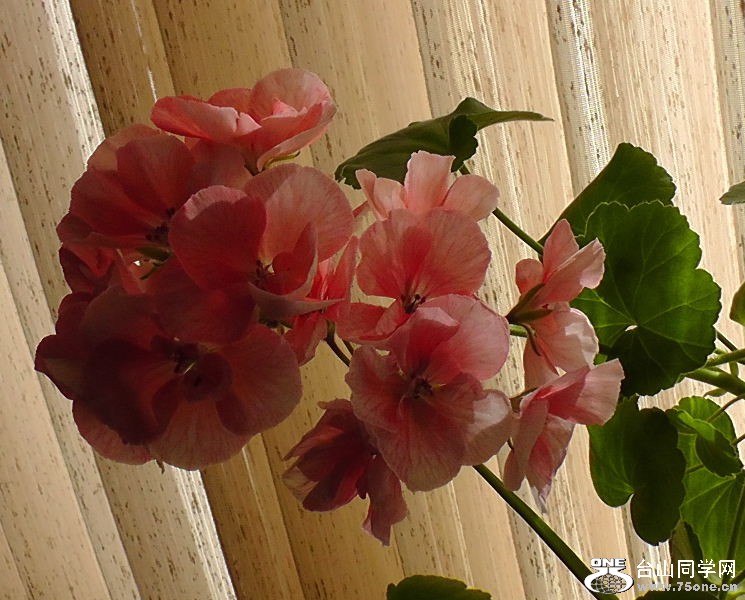 H1460004.JPG