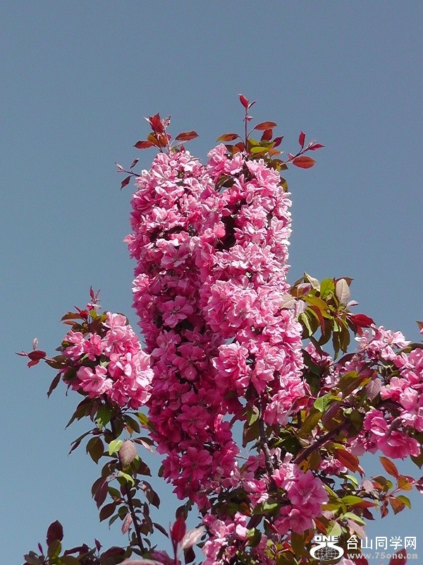 H1580206.JPG