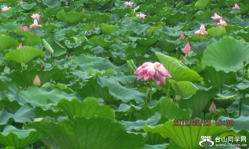 IMG_1511.jpg