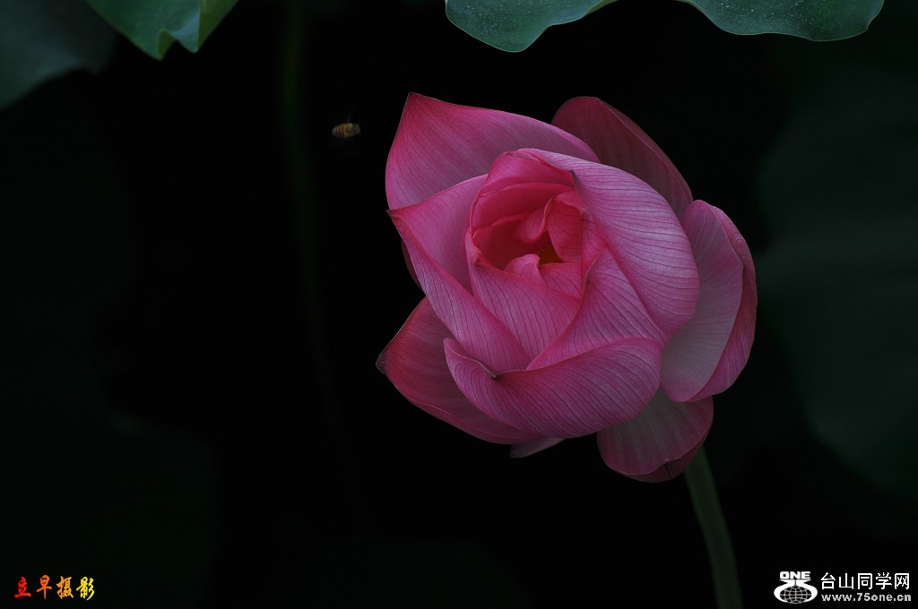 DSC_0034.JPG