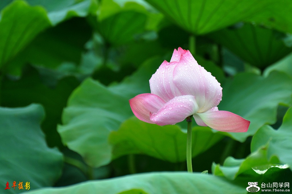 DSC_0103.JPG