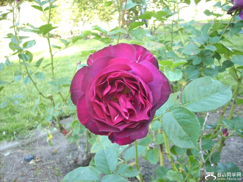 DSCN4641.JPG