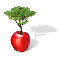 apple.jpg