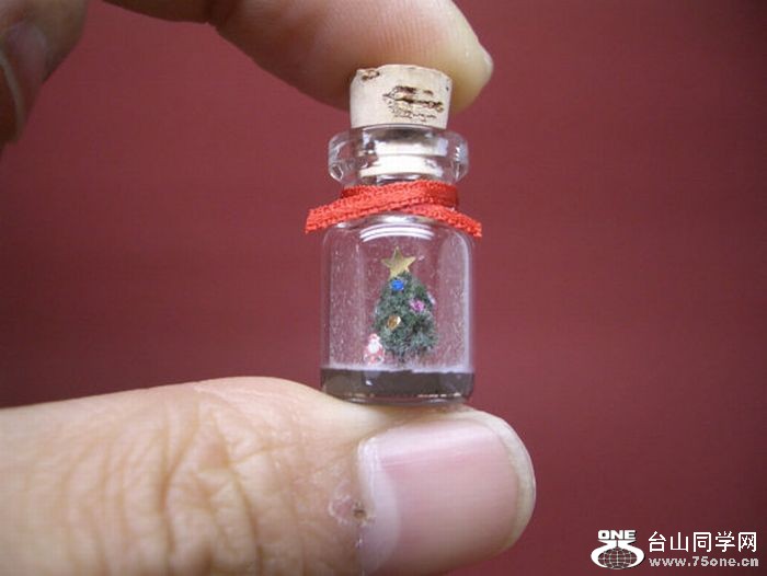 tiny_world_in_a_bottle_15.jpg