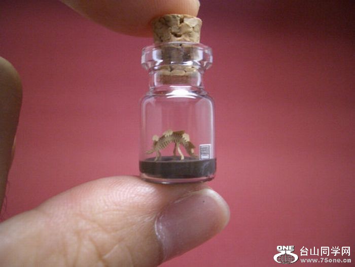 tiny_world_in_a_bottle_01.jpg