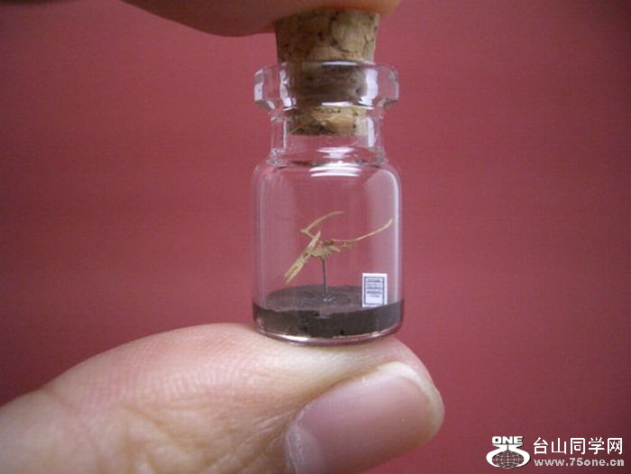 tiny_world_in_a_bottle_10.jpg