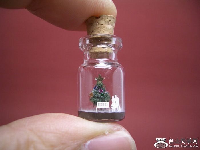 tiny_world_in_a_bottle_17.jpg