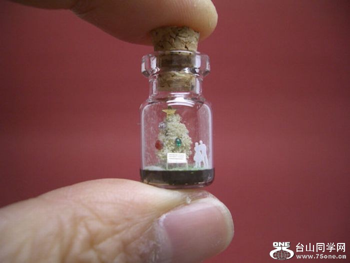 tiny_world_in_a_bottle_19.jpg