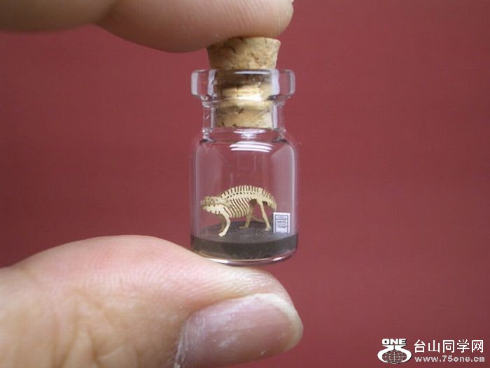 tiny_world_in_a_bottle_03.jpg