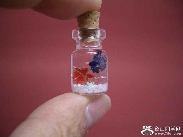 tiny_world_in_a_bottle_18.jpg