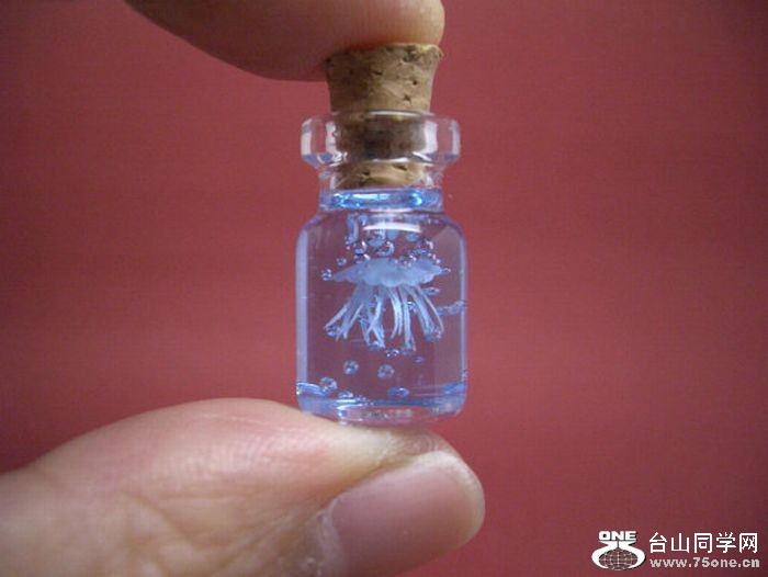 tiny_world_in_a_bottle_26.jpg