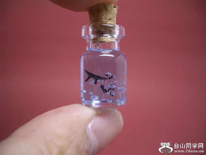 tiny_world_in_a_bottle_21.jpg