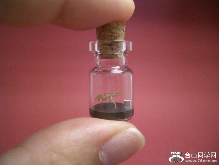 tiny_world_in_a_bottle_02.jpg