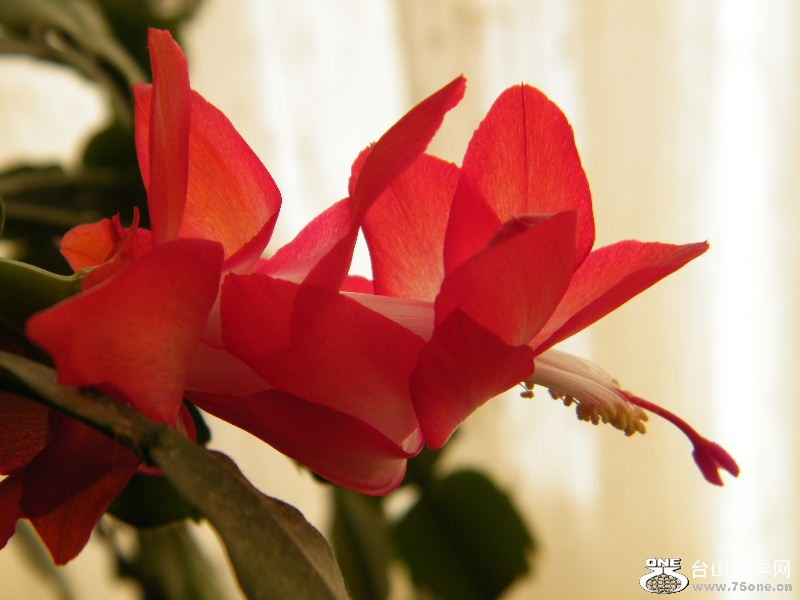 DSCF3826.JPG