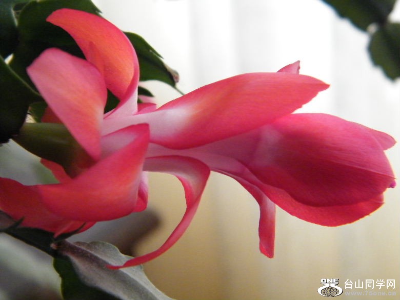 DSCF3108.JPG