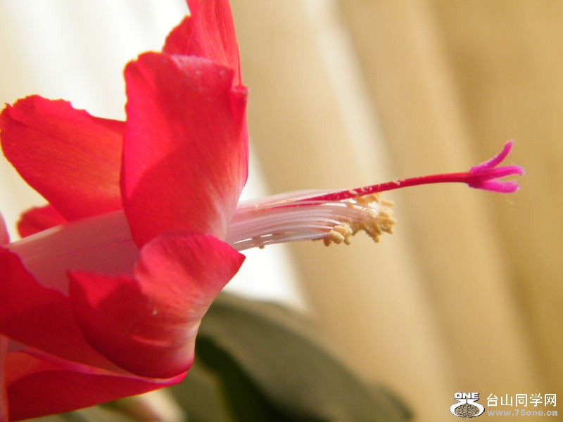 DSCF3830.JPG
