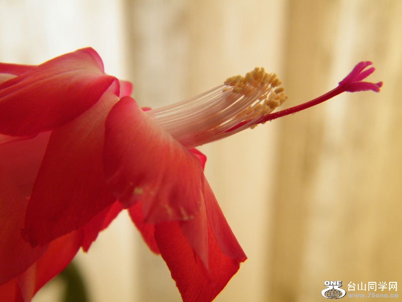 DSCF3824.JPG