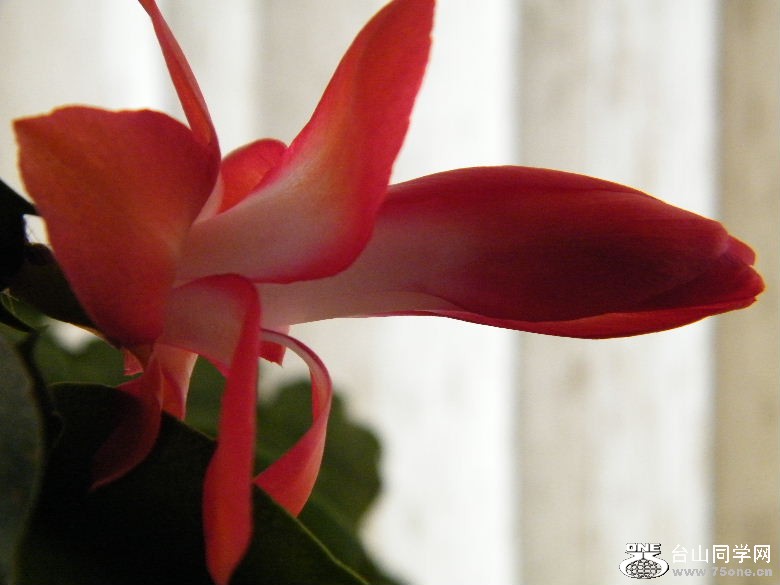 DSCF3110.JPG