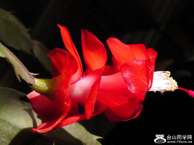 2012_040210076.JPG