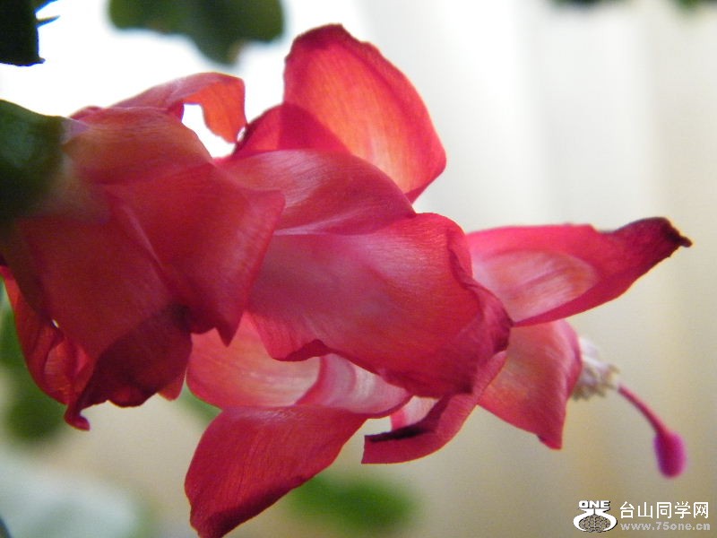 DSCF3827.JPG