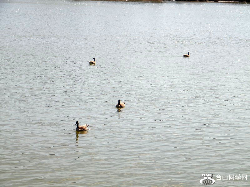 DSCF4027.JPG