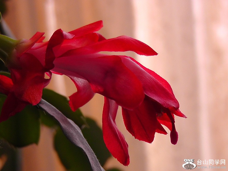 2012_041410007.JPG
