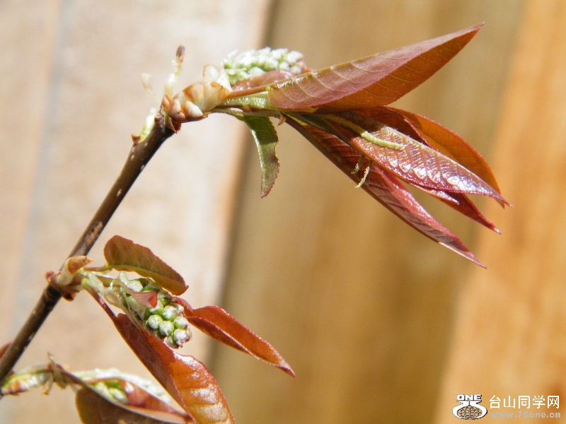 DSCF4064.JPG