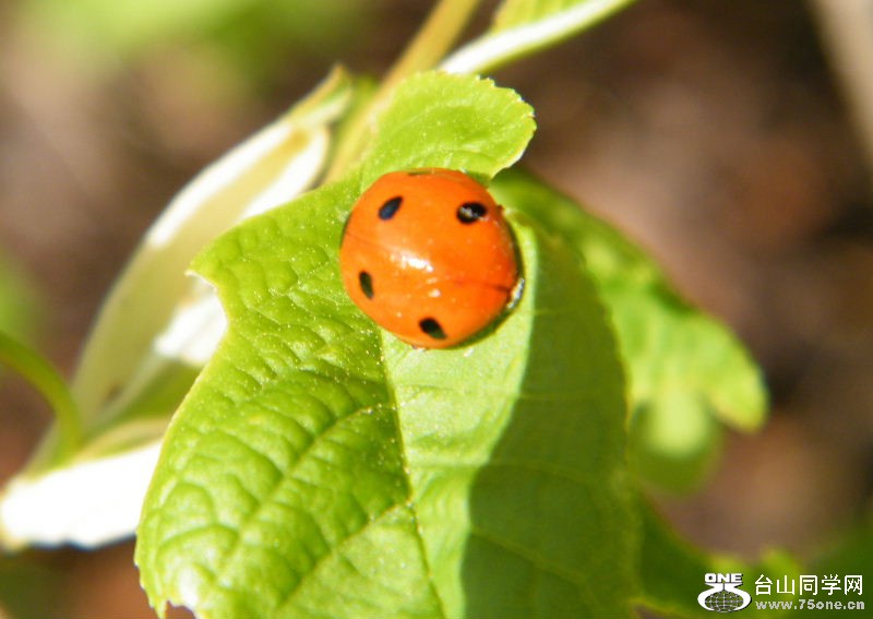 DSCF4083.JPG