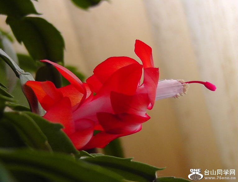 2012_040210089.JPG