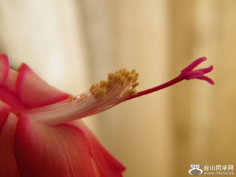DSCF3823.JPG