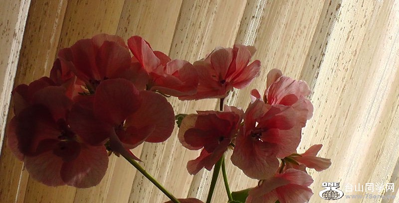 H1460003.JPG
