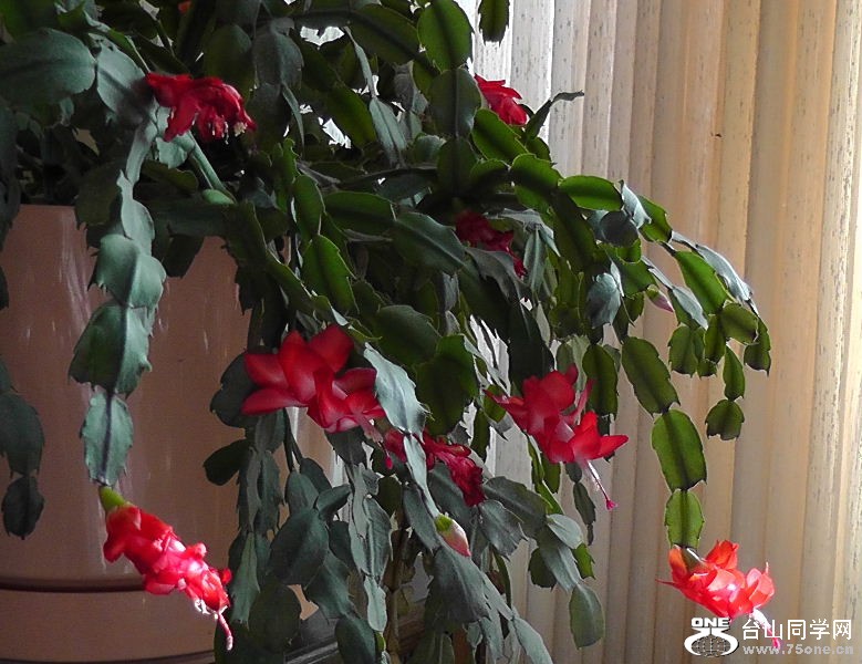 2012_041410001.JPG