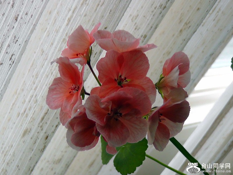 H1370010=.jpg