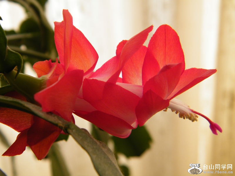 DSCF3836.JPG