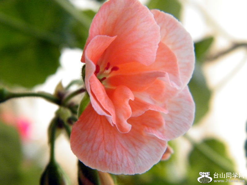 DSCF3965.JPG
