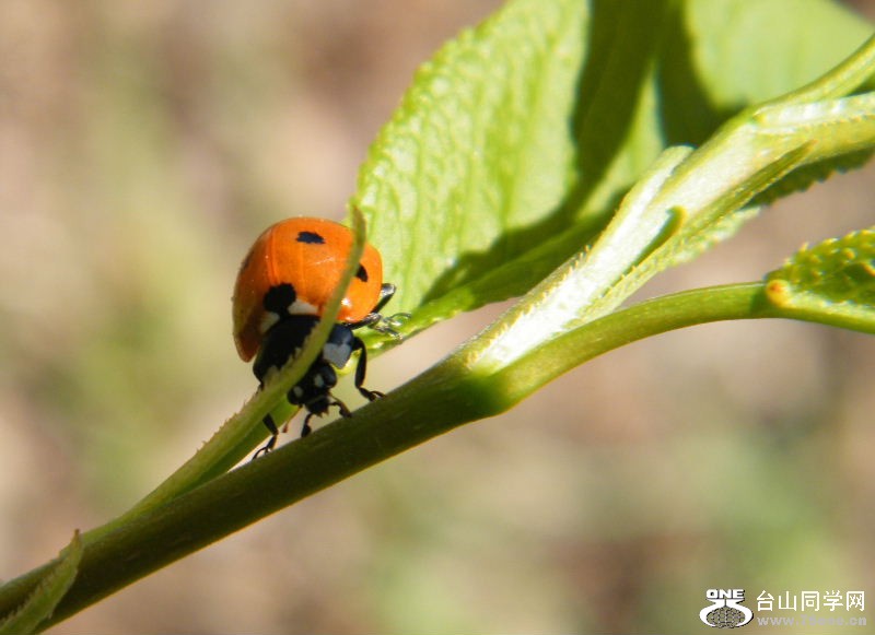 DSCF4086.JPG