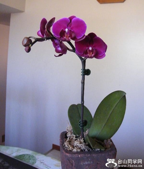 DSCF4116.JPG