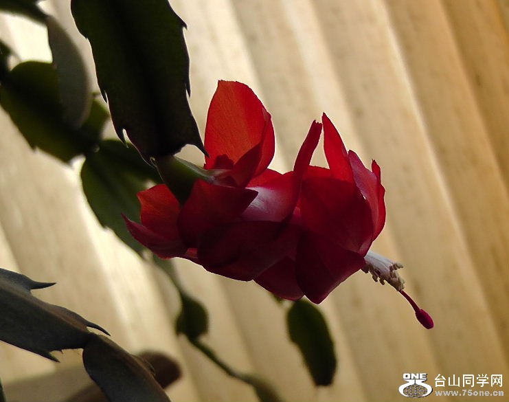 2012_040210081.JPG