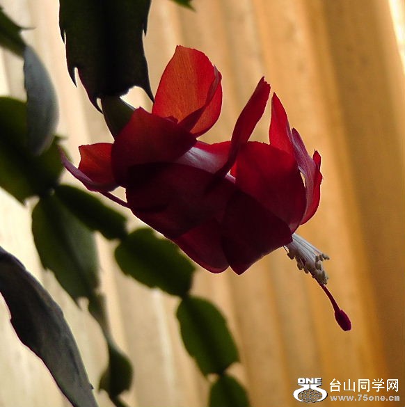 2012_040210080.JPG