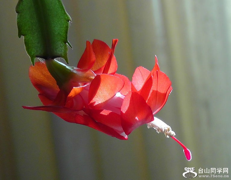 2012_041410004.JPG