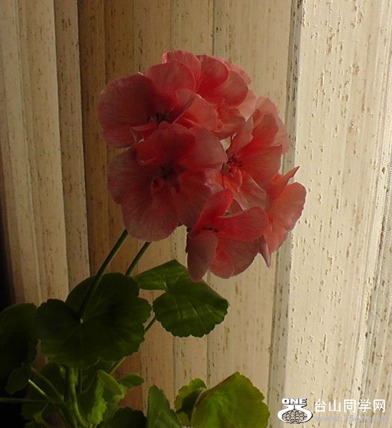 H1460001.JPG