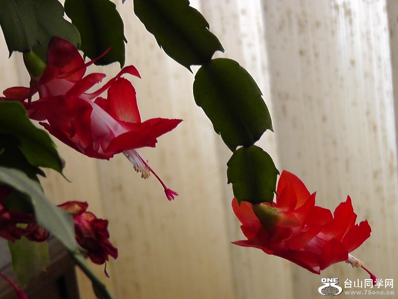2012_041410012.JPG