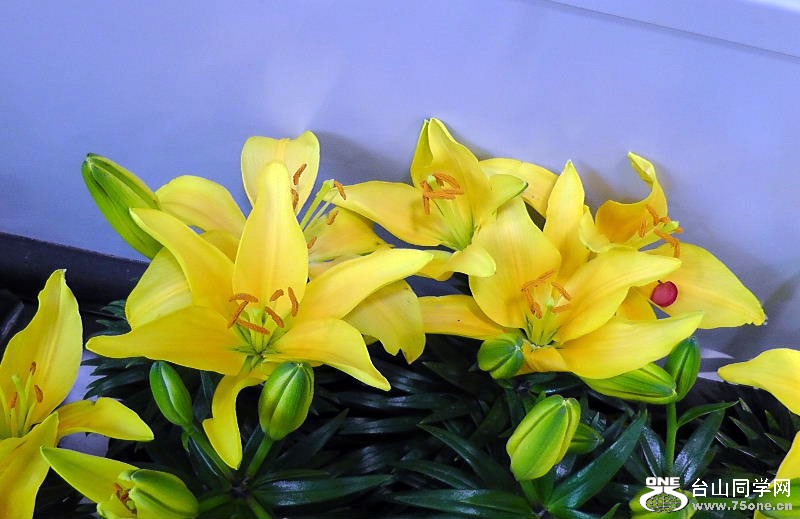 H1330007=.jpg