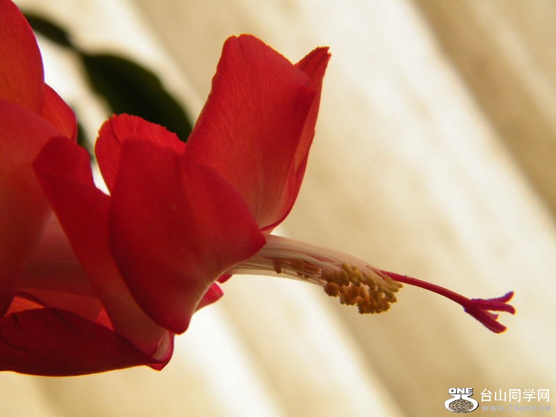 DSCF3820.JPG