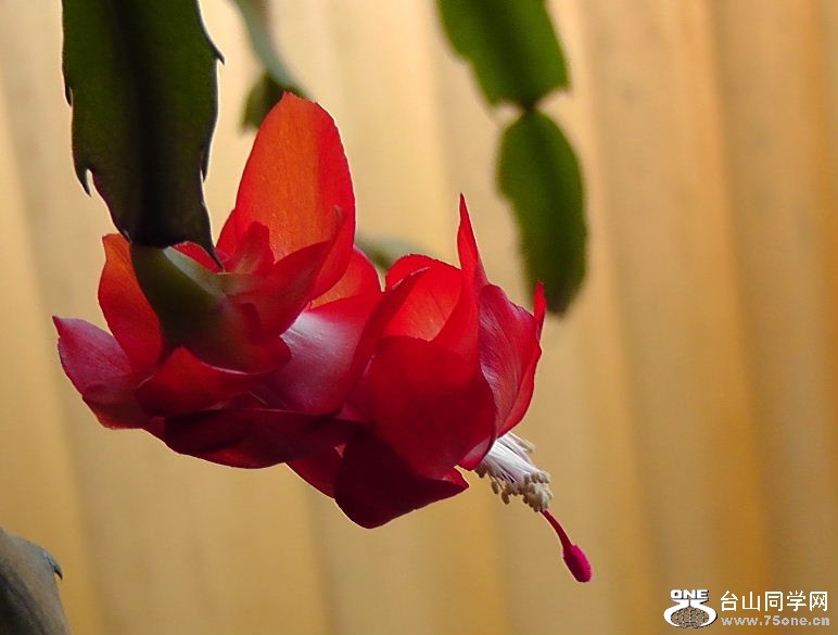 2012_040210079.JPG