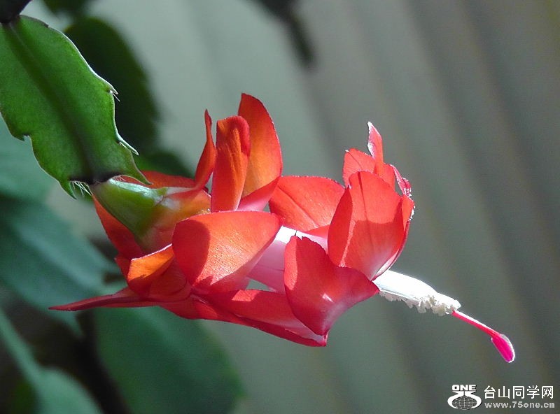 2012_041410006.JPG