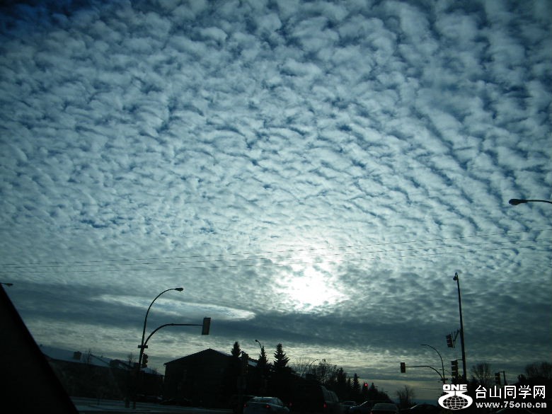 DSCF0303.JPG