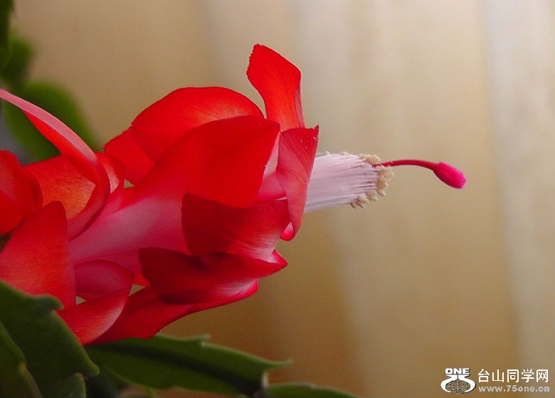 2012_040210090.JPG