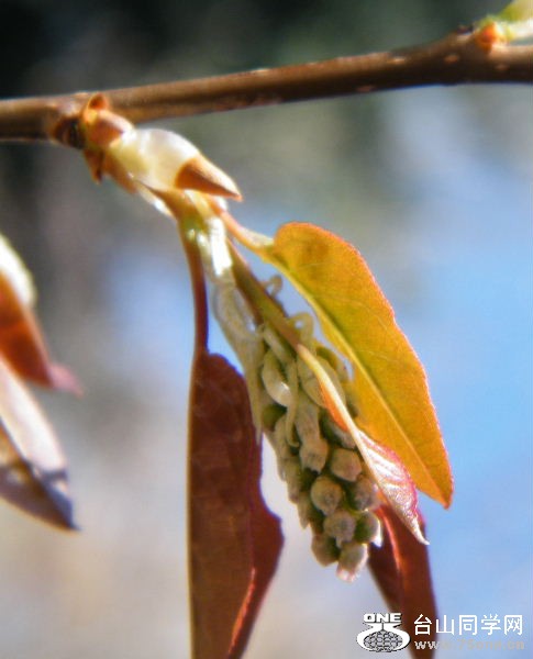 DSCF4067.JPG