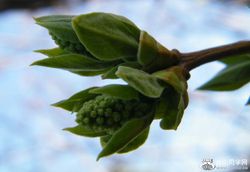 DSCF4088.JPG